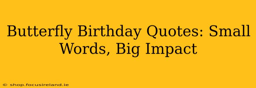 Butterfly Birthday Quotes: Small Words, Big Impact