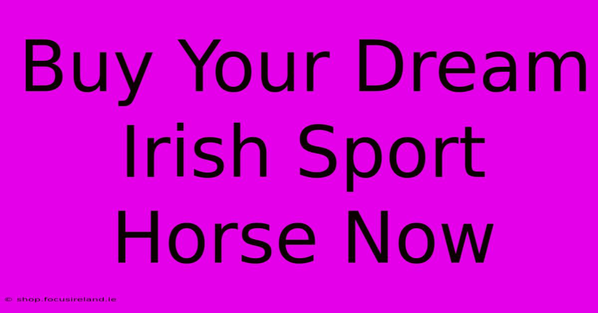 Buy Your Dream Irish Sport Horse Now