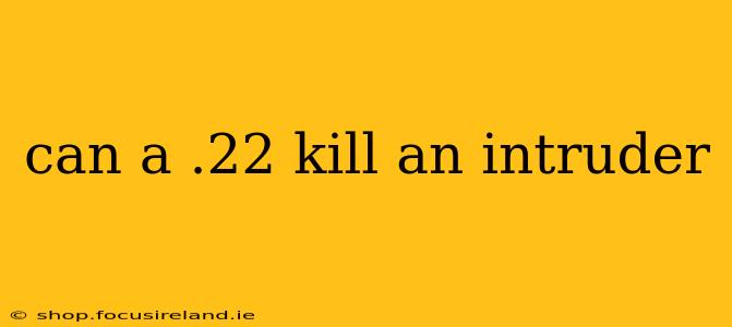 can a .22 kill an intruder
