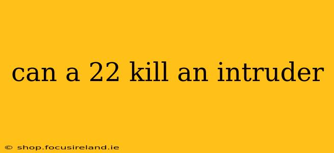 can a 22 kill an intruder
