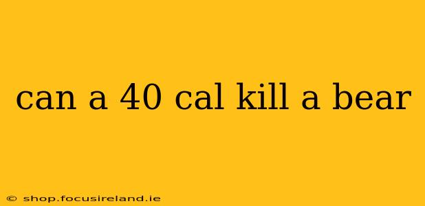 can a 40 cal kill a bear