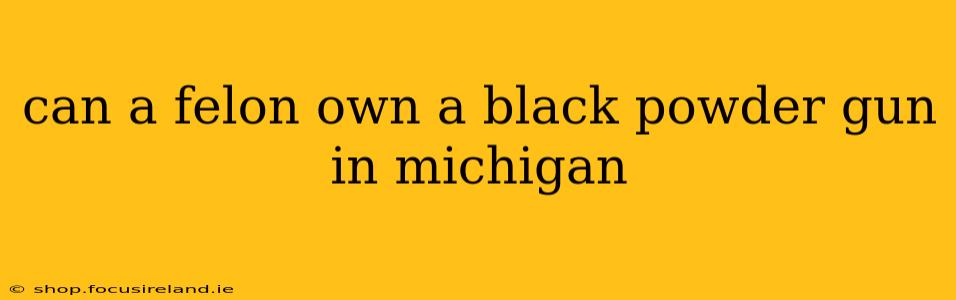 can a felon own a black powder gun in michigan