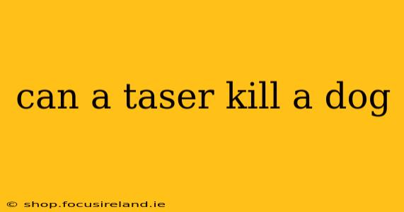 can a taser kill a dog