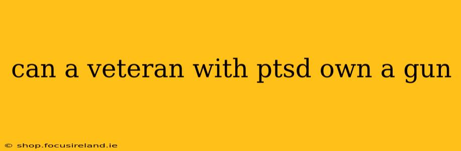 can a veteran with ptsd own a gun