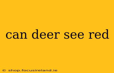 can deer see red