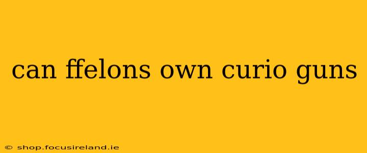 can ffelons own curio guns