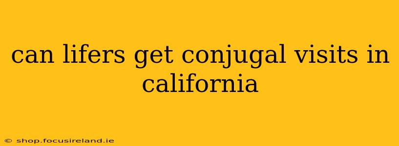 can lifers get conjugal visits in california