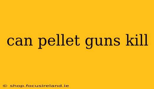 can pellet guns kill