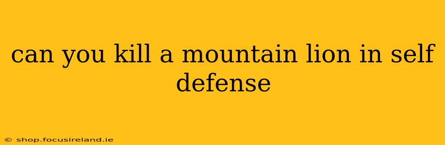 can you kill a mountain lion in self defense