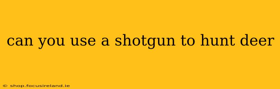 can you use a shotgun to hunt deer