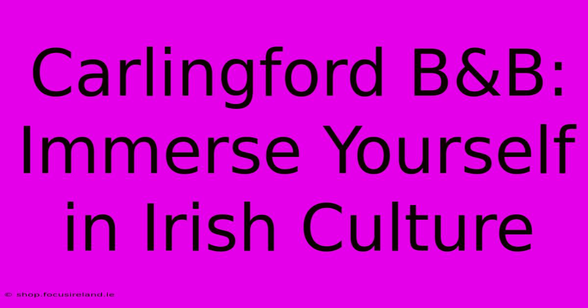 Carlingford B&B: Immerse Yourself In Irish Culture