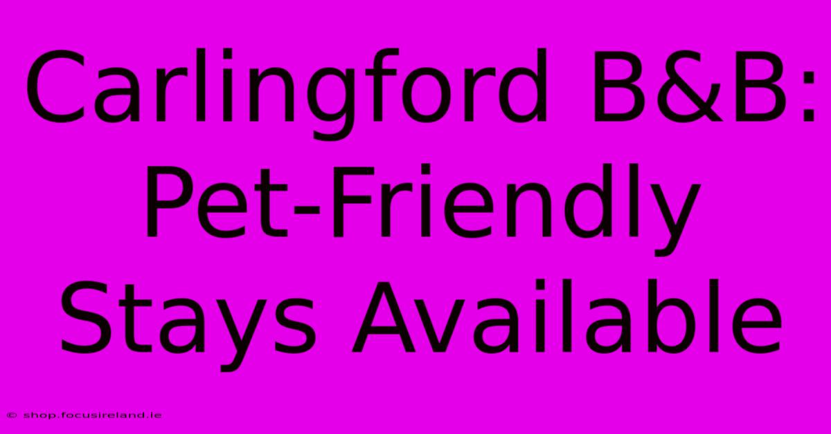 Carlingford B&B: Pet-Friendly Stays Available