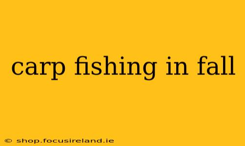 carp fishing in fall