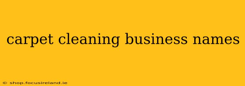 carpet cleaning business names