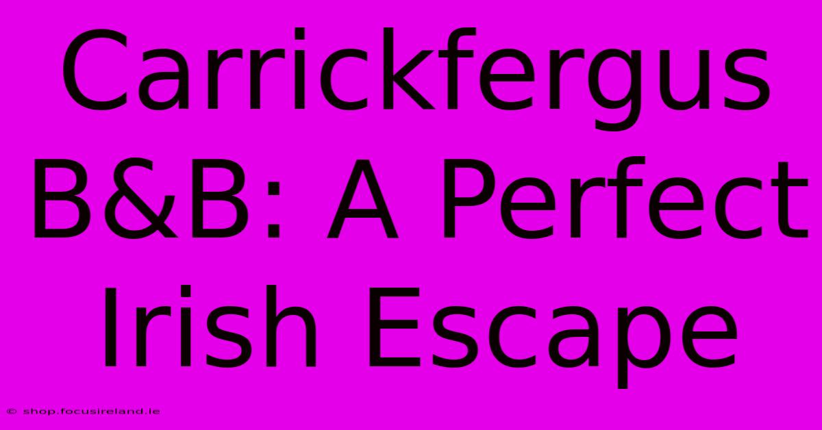 Carrickfergus B&B: A Perfect Irish Escape