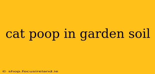 cat poop in garden soil