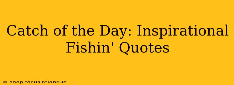 Catch of the Day: Inspirational Fishin' Quotes