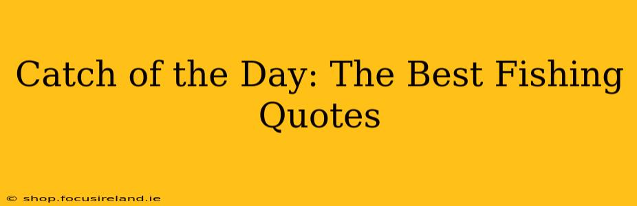 Catch of the Day: The Best Fishing Quotes