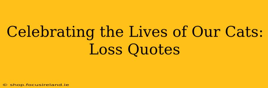 Celebrating the Lives of Our Cats: Loss Quotes