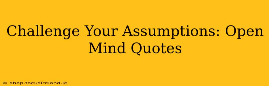 Challenge Your Assumptions: Open Mind Quotes