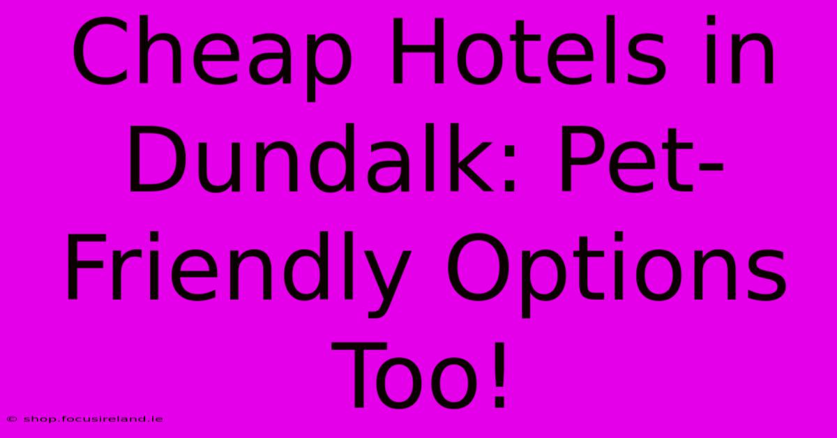 Cheap Hotels In Dundalk: Pet-Friendly Options Too!