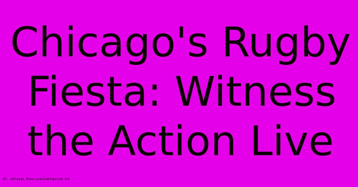 Chicago's Rugby Fiesta: Witness The Action Live