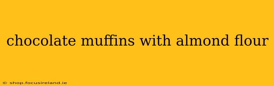 chocolate muffins with almond flour