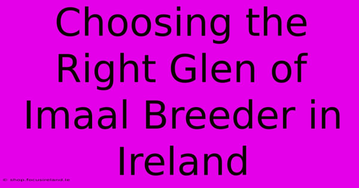 Choosing The Right Glen Of Imaal Breeder In Ireland