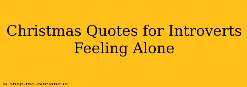 Christmas Quotes for Introverts Feeling Alone