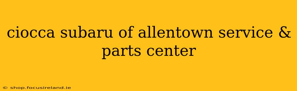 ciocca subaru of allentown service & parts center