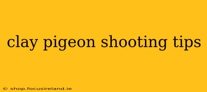 clay pigeon shooting tips