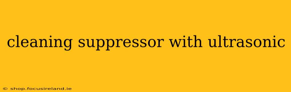cleaning suppressor with ultrasonic