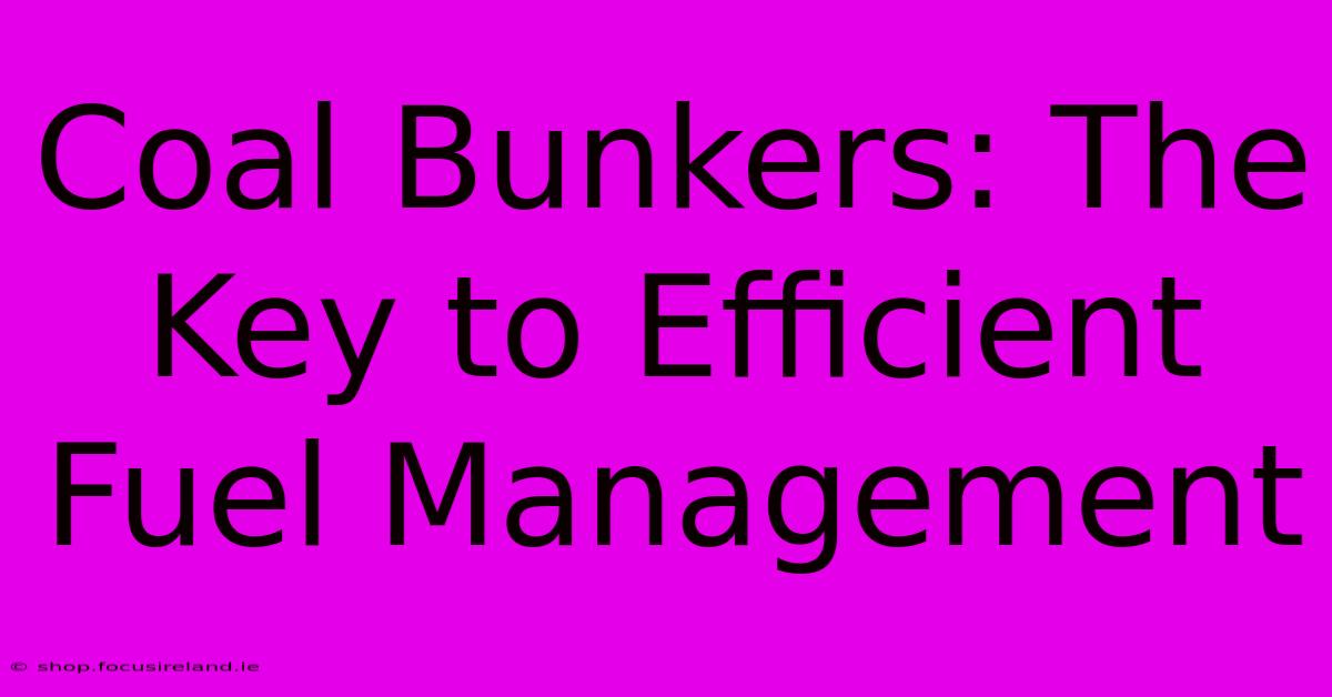 Coal Bunkers: The Key To Efficient Fuel Management