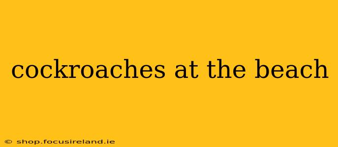 cockroaches at the beach