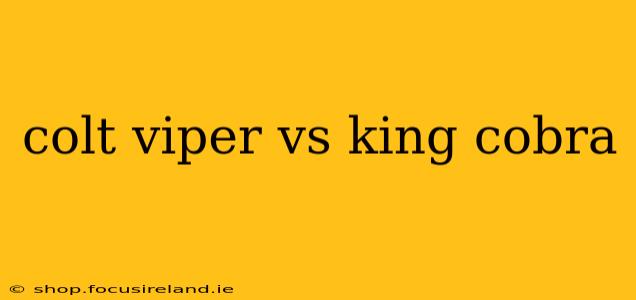colt viper vs king cobra