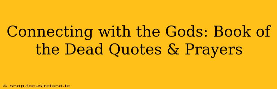 Connecting with the Gods: Book of the Dead Quotes & Prayers