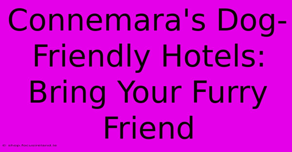 Connemara's Dog-Friendly Hotels: Bring Your Furry Friend