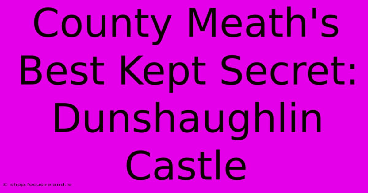 County Meath's Best Kept Secret: Dunshaughlin Castle