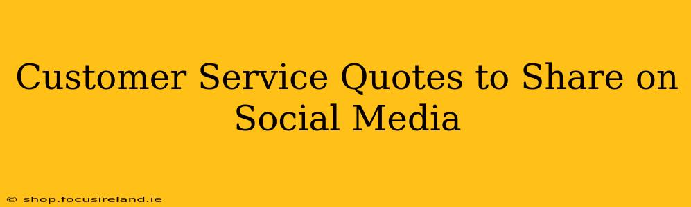 Customer Service Quotes to Share on Social Media