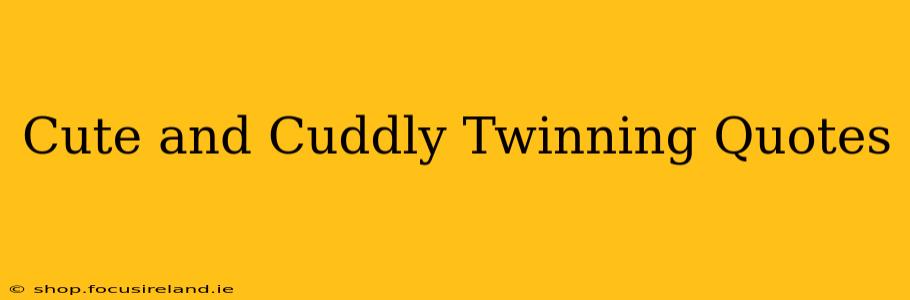 Cute and Cuddly Twinning Quotes