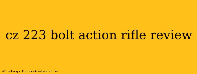 cz 223 bolt action rifle review