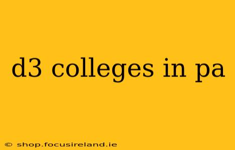 d3 colleges in pa