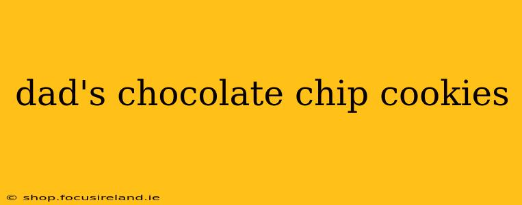dad's chocolate chip cookies