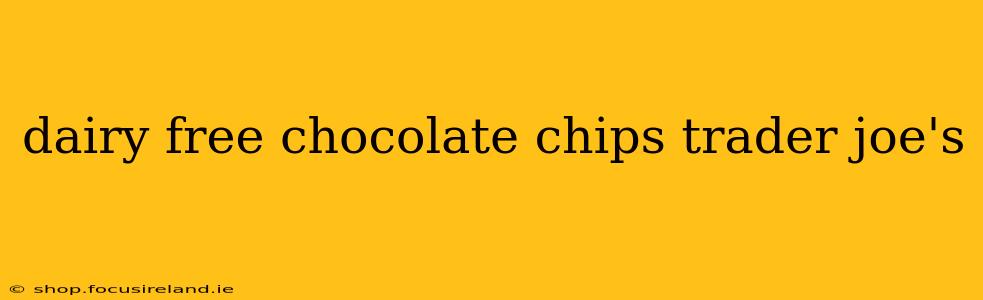 dairy free chocolate chips trader joe's