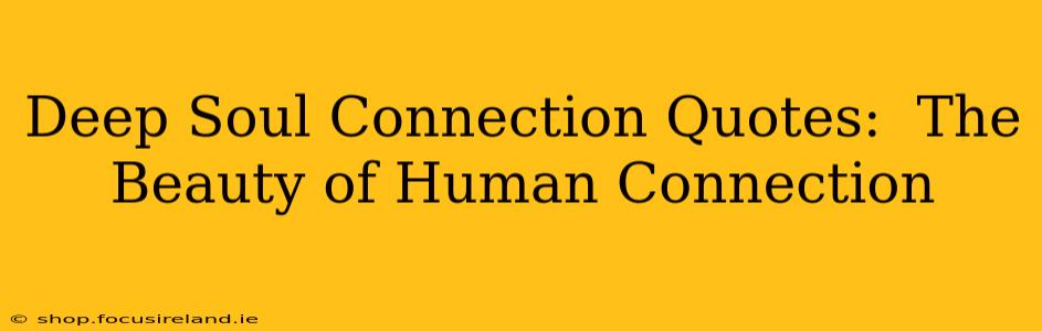 Deep Soul Connection Quotes:  The Beauty of Human Connection