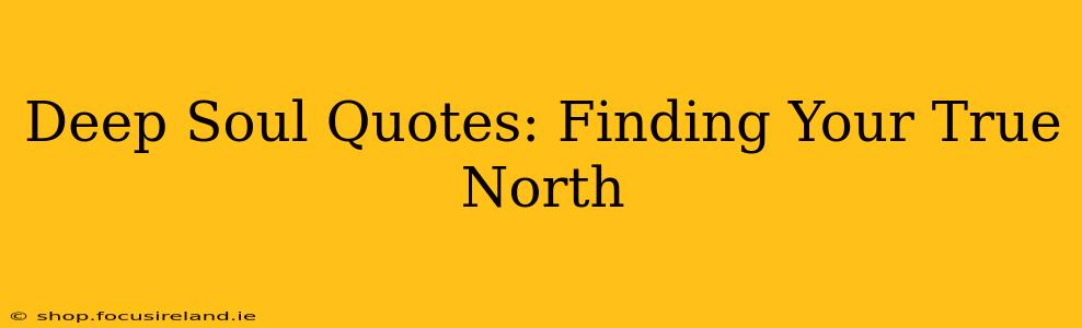 Deep Soul Quotes: Finding Your True North