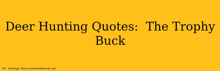 Deer Hunting Quotes:  The Trophy Buck