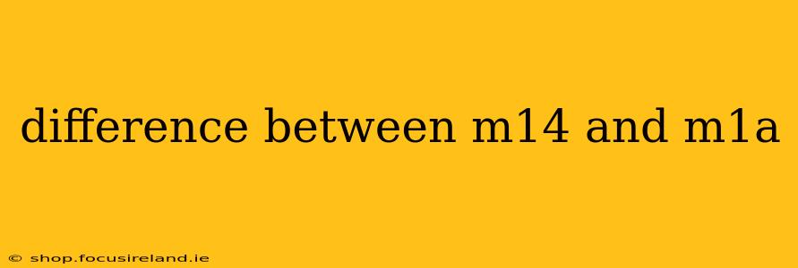 difference between m14 and m1a
