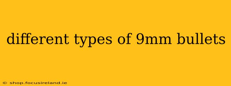 different types of 9mm bullets