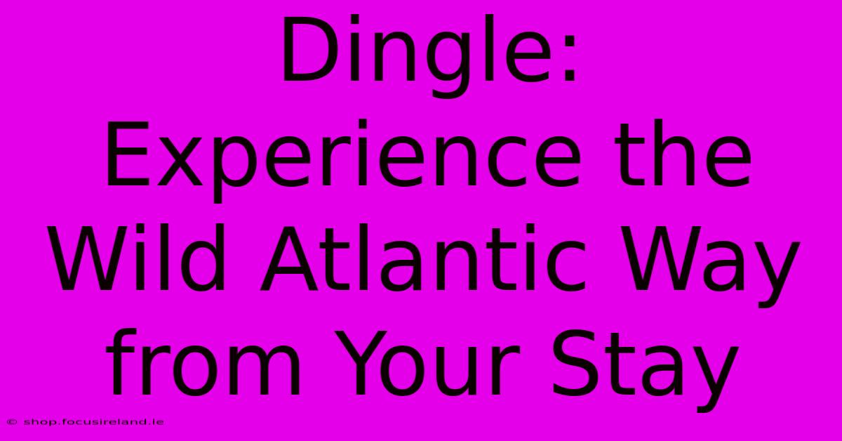 Dingle: Experience The Wild Atlantic Way From Your Stay